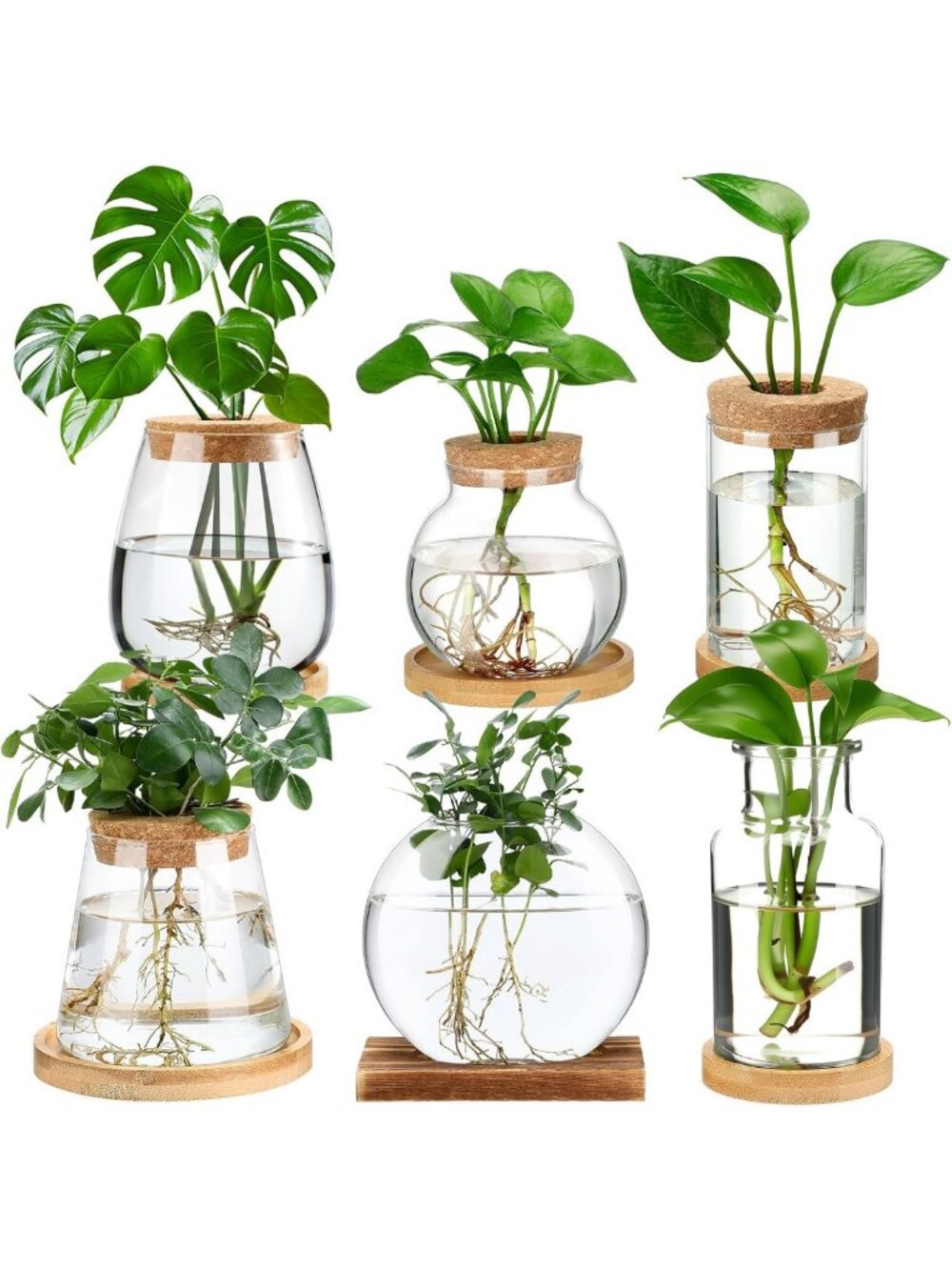 6 Pcs Glass Plant Propagation Stations - Desktop Vases for Home Decor